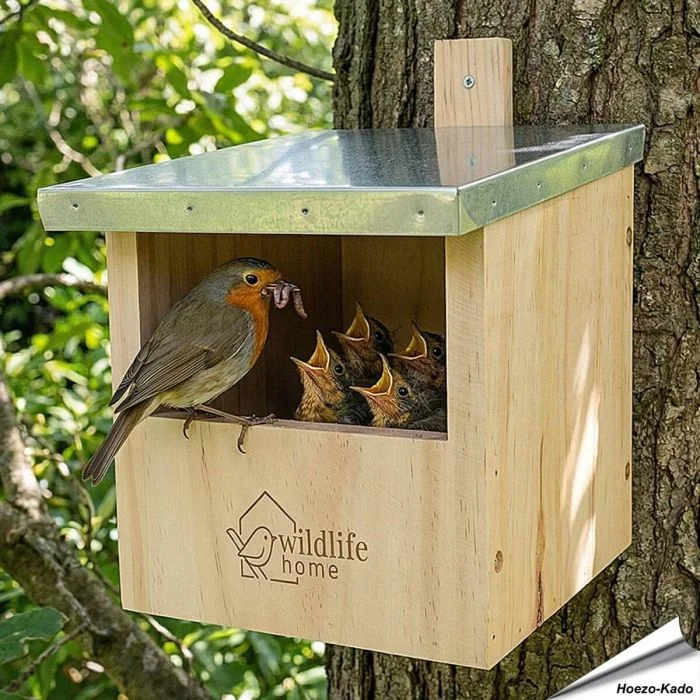 Robuster, artgerechter Nistkasten mit Metalldach für Rotkehlchen & Co. ✔️ Halbhöhle ✔️ Verschraubtes Massiv-Holz nach NABU ➤ Kaufe direkt bei Alles für Vögel