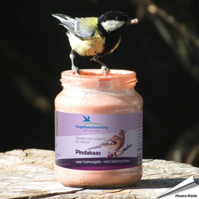 Spezielle Erdnussbutter für Wildvögel - Waldbeeren ✔️ Kein Salz hinzugefügt ✔️ LBV / NABU ✔️ Kalorienreiche Köstlichkeit für Gartenvögel  ➤ Bestellen auf www.allesfuervoegel.de