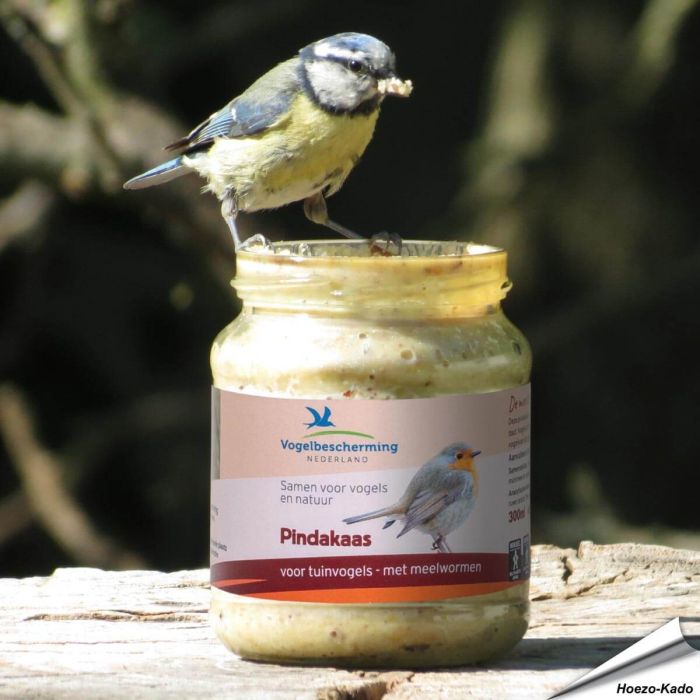 Spezielle Erdnussbutter für Wildvögel - Mehlwurm ✔️ Von NABU / LBV empfohlen ✔️ Kein Salz hinzugefügt ✔️ Kalorienreiche Köstlichkeit für Gartenvögel  ➤ Bestellen auf www.allesfuervoegel.de