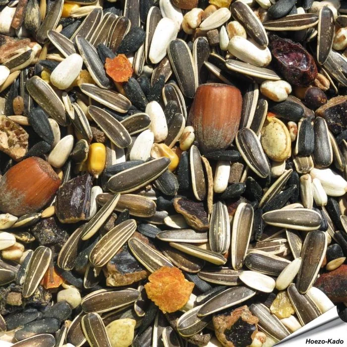 Premium Eichhörnchenfutter - Rein pflanzlich (5 kg)