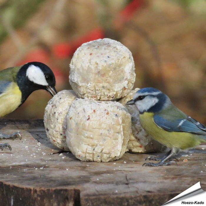 Premium Meisenknödel mit Insekten und Mehlwürmer