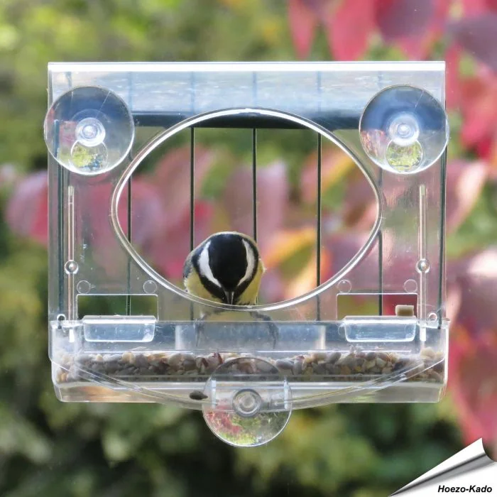 Transparentes Vogelfutterhaus mit Schutzkorb für ans Fenster ✔️ Einfache Montage - Sicherer Halt dank 3 starken Saugnäpfen ✔️ Vögel beobachten ➤ Kaufe bei Alles für Vögel