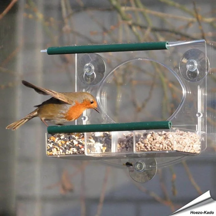 Fenster-Futterhaus für Rotkehlchen online bestellen? www.allesfuervoegel.de