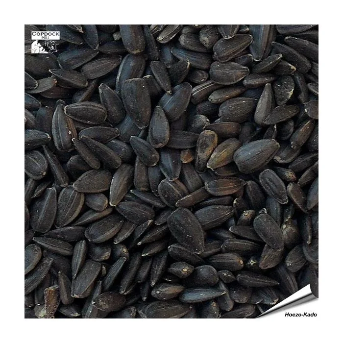 Schwarze Sonnenblumenkerne (12.75 kg)