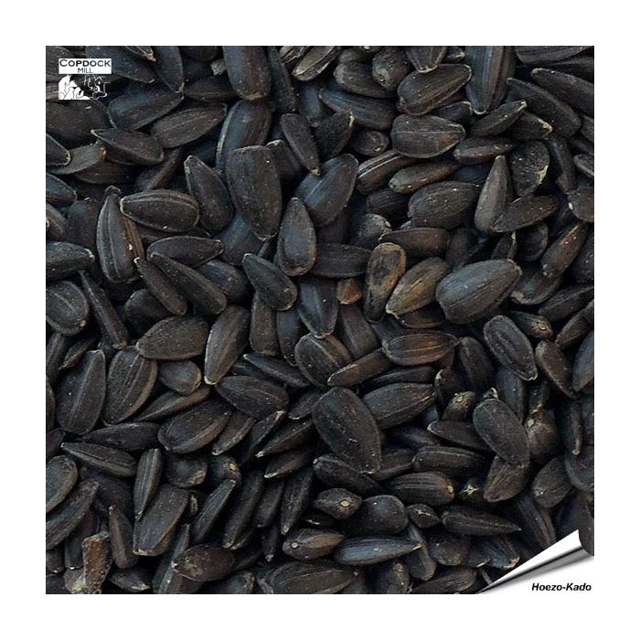 Schwarze Sonnenblumenkerne (12.75 kg)