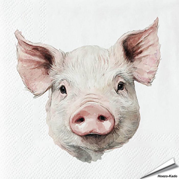 Hochwertige 3-lagige Servietten mit Schweinchen-Motiv ✔️ Bringe das Landleben auf den Tisch ✔️ FSC-zertifiziert, biologisch abbaubar ➤ Bestelle bei Alles für Vögel