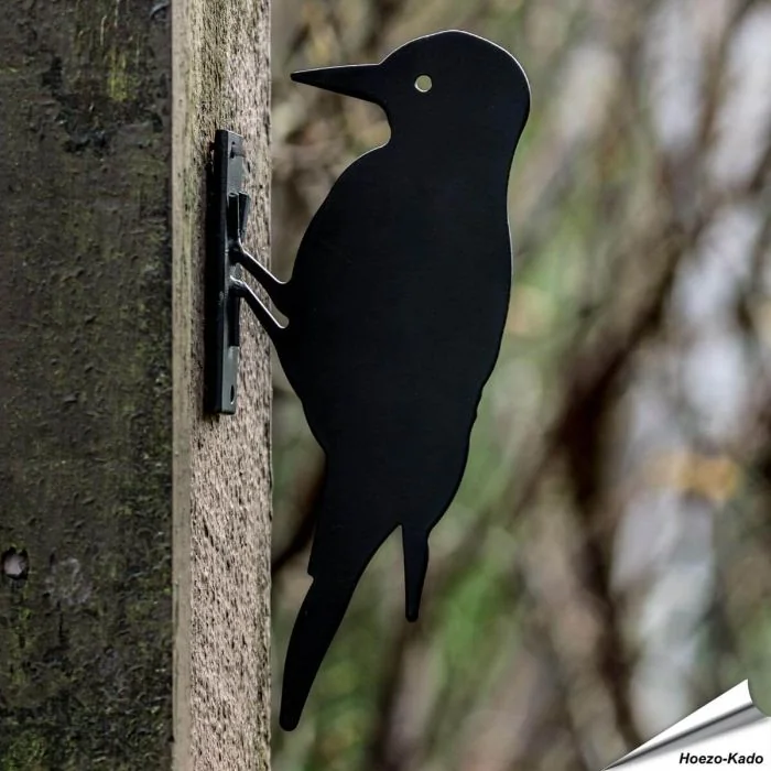 Schattenriss - Specht