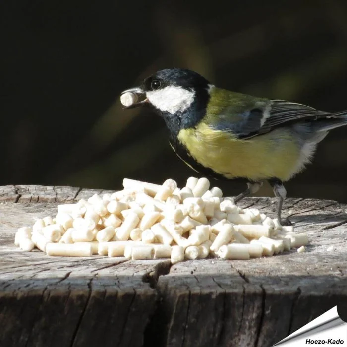 Energiereiche Mehlwurm-Leckerbissen für Gartenvögel ✓ Ganzjährige Wildvogelfütterung ✓ Delikatesse für Gartenvögel ✓ Online kaufen bei www.allesfuervoegel.de