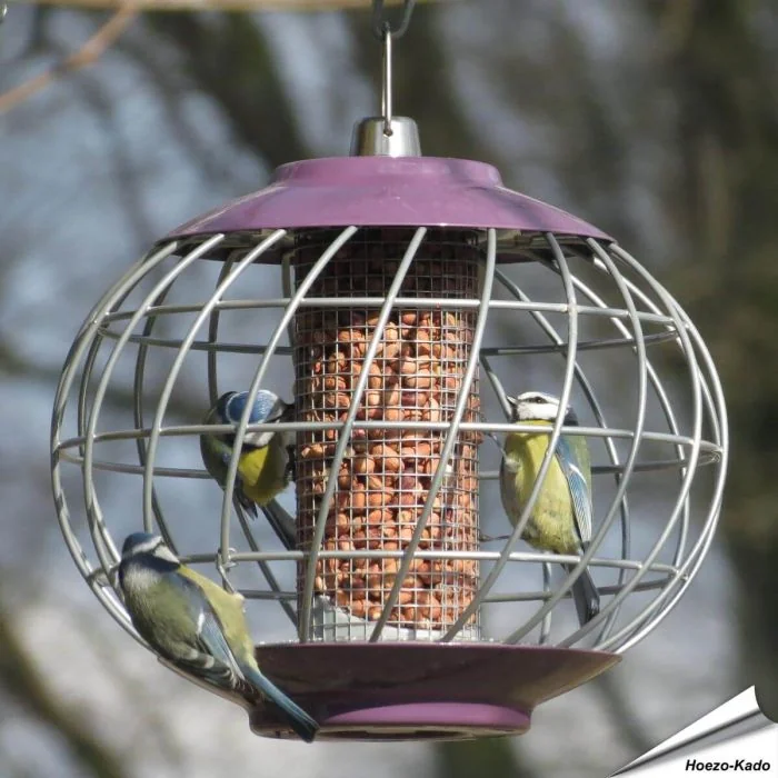 Futtersäule Helix für Erdnüsse - Mit Schutzkäfig - www.allesfuervoegel.de