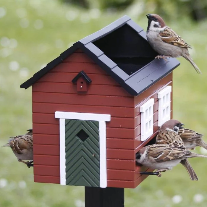 Roter Vogelfutterspender mit integriertem Vogelbad, 2 Futteröffnungen und ca. 2,5 Liter Fassungsvermögen für Samen und Sonnenblumenkerne.