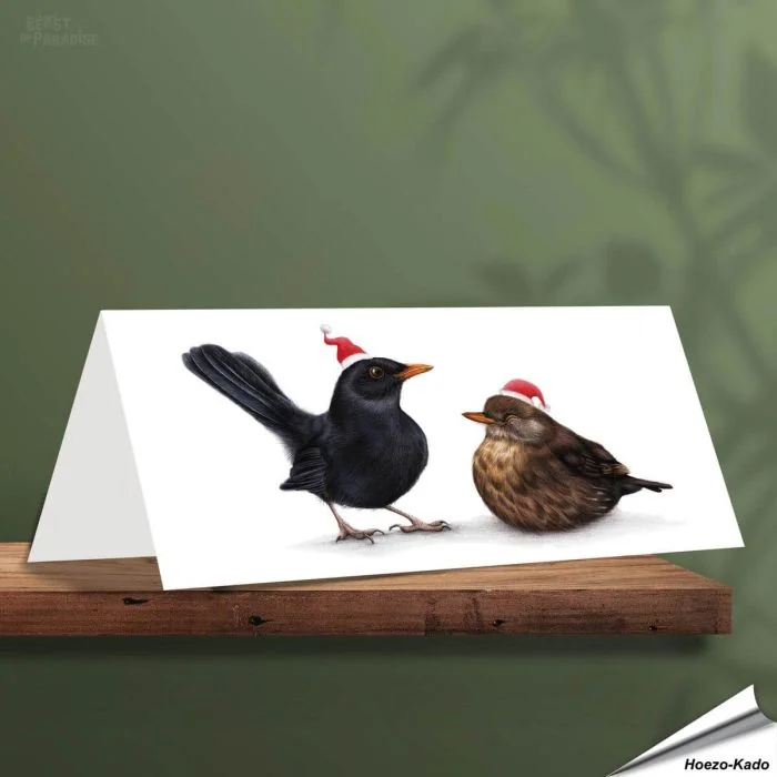 Weihnachtskarte - Mit Amselmotiven - Von Hand gezeichnet - www.allesfuervoegel.de