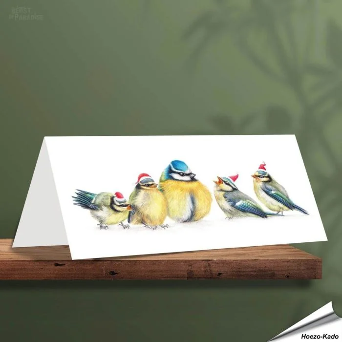 Weihnachtskarte - Mit Blaumeisenmotiven - Von Hand gezeichnet - www.allesfuervoegel.de