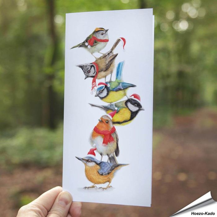 Witzige Weihnachtskarte mit Gartenvögeln ✔️ Handgezeichnet ✔️ Doppelkarte blanko ✔️ FSC-Papier ➤ Jetzt bei Alles für Vögel bestellen