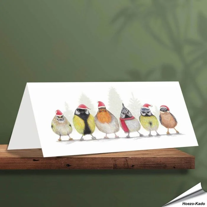 Weihnachtskarte mit verschiedenen Singvögel - Von Hand gezeichnet - www.allesfuervoegel.de