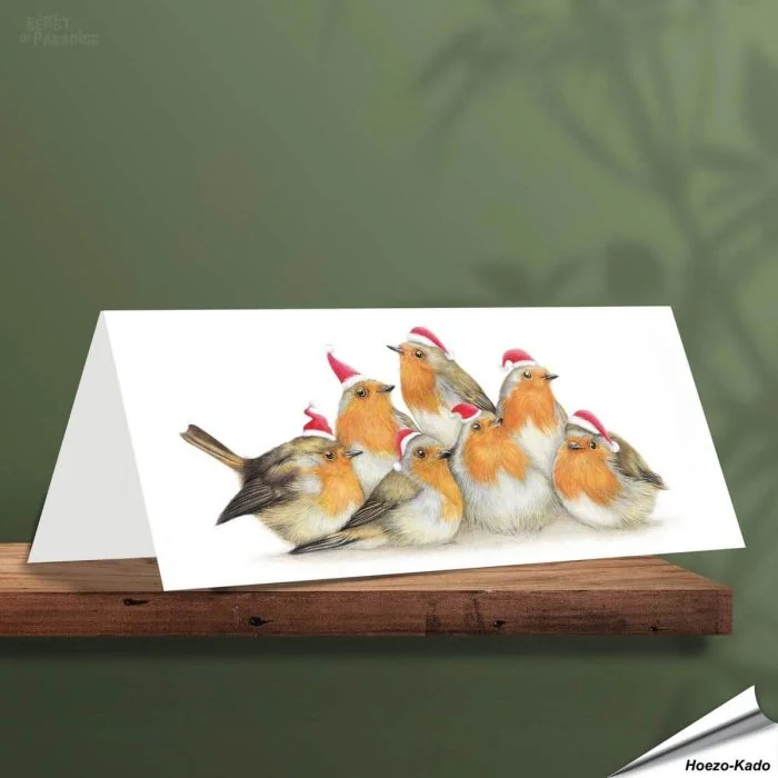 Weihnachtskarte - Mit Rotkehlchen-Motiven - Von Hand gezeichnet - www.allesfuervoegel.de