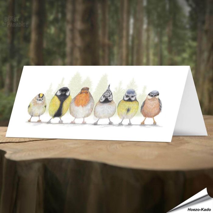 Witzige Grusskarte von verschiedenen europäischen Gartenvögel ✔️ Von hand gezeichnet ✔️ Doppelkarte mit leerem Inneren ✔️ FSC-Papier ➤ Alles für Vögel