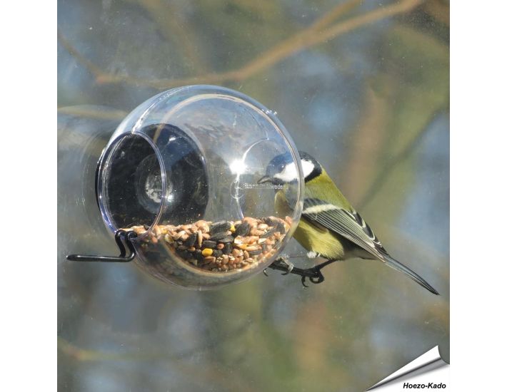 Homebird Fenster-Vogelfutterspender Mit Saugnäpfen – Transparent, Eichhörnchensicher, Einfach Zu Befüllen