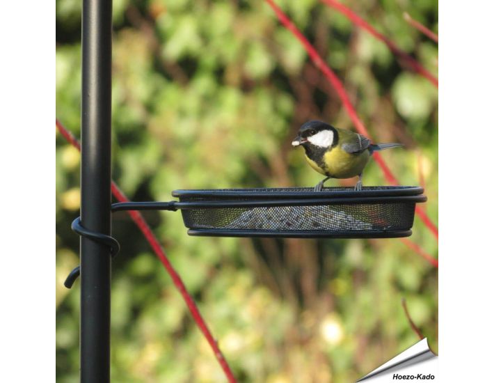 Birds Choice Vogelfutterstation Mit 3 Armen – Groß, Schwarz, Inklusive Eichhörnchen-Schutz