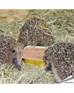 Biologisches Igelfutter online kaufen? | Alles für Vögel