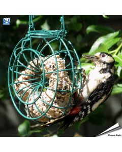 Meisenknödel-Kranz (grün)
