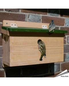 Haussperlinge brüten gerne in Kolonien ✓ Holz-Nistkasten mit 3 separaten Nistkammern / Eingängen ✓ Holz-Konstruktion - FSC 100% ✓ Kaufen bei Alles für Vögel