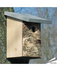Birkenholz-Nistkasten für Kohlmeisen | 32mm Einflugöffnung