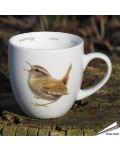 Mok - Winterkoning 'Elwin van der Kolk'