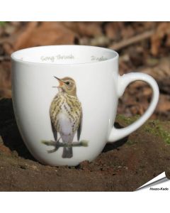 Kaffeetasse mit Vogelmotiv - Singdrossel