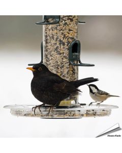 BigEasy™ Auffangschale (278mm)