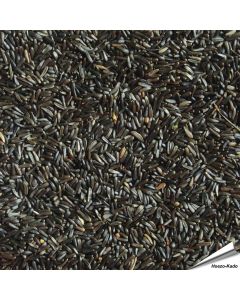 Niger-Samen für viele verschiedene Vogelarten ✔️ Hohen Gehalt an Fett und Eiweiß ✔️ Hochwertiges Einzelfuttermittel für Wildvögel ✔️ Direkt online bestellen bei Alles für Vögel