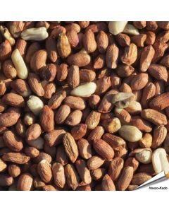 Hochwertige Erdnüsse, speziell für Wildvögel - www.allesfuervoegel.de