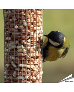 Erdnüsse gemengt mit Fett-Leckerbissen ✔️ Energie- und proteinreiches Wildvogelfutter für Erdnusssäulen ✔️ Ganzjährig Wildvögel füttern ➤ Kaufen bei Alles für Vögel