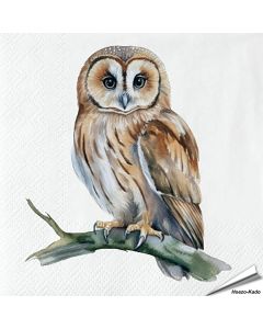 Servietten - Waldkauz - Motiv | 20 Stück | Alles für Vögel