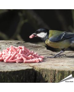 Leckerbissen mit Beeren für Wildvögel - www.allesfuervoegel.de
