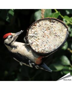 Gefüllte Kokosnuss mit Mehlwürmer - halb ✔️ Hochwertige Energiequelle für wildlebende Vögel ✔️ Leicht zu hängen ➤ Jetzt online kaufen bei Alles für Vögel