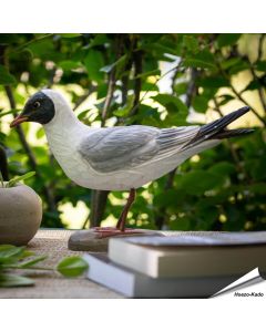 Realistische, handgeschnitzte Lachmöwe ✔️ Mit ungiftigen Farben naturgetreu bemalt ✔️ Originelles Geschenk für Vogel- und Naturliebhaber ✔️ Kaufe online bei Alles für Vögel