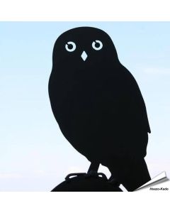 Schattenriss - Steinkauz