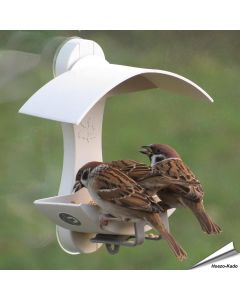 Fenster-Futterhaus für Wildvögel - Auch bei Spatzen beliebt - www.allesfuervoegel.de