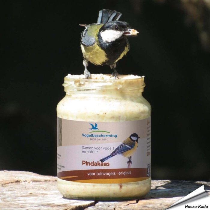 Spezielle Erdnussbutter für Wildvögel - Original ✔️ Kein Salz hinzugefügt ✔️ Empfohlen von NABU / LBV ✔️ Kalorienreiche Köstlichkeit für Gartenvögel  ➤ Online bestellen auf www.allesfuervoegel.de