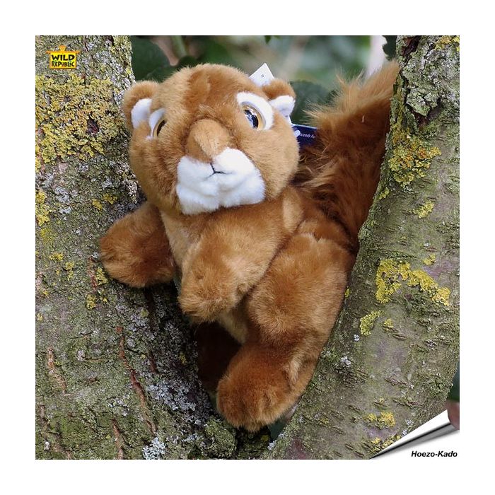 Plüsch - Eichhörnchen (Wild Watchers)