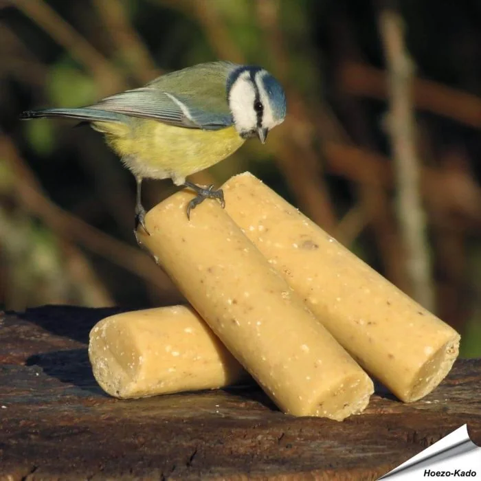 Energierollen mit getrockneten Insekten für Gartenvögel ✔️ Protein- und energiereiches Fettfutter ✔️ Ganzjährig zu verwenden ➤ Bestelle dein Vogelfutter bei Alles für Vögel