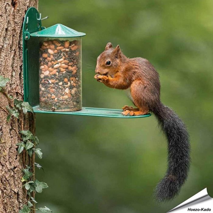 Futterspender für Eichhörnchen aus Metall - www.hoezo-kado.de