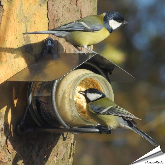 Erdnussbutter-Glashalter aus Metalldraht - Alles für Vögel