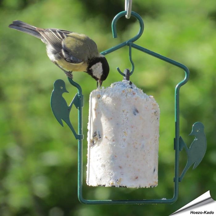 Metall-Halter für Energiekuchen - Vogelfutter - Alles für Vögel