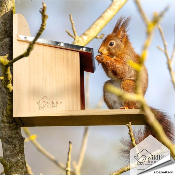 Eichhörnchen Futterhaus mit Metalldach - www.allesfuervoegel.de