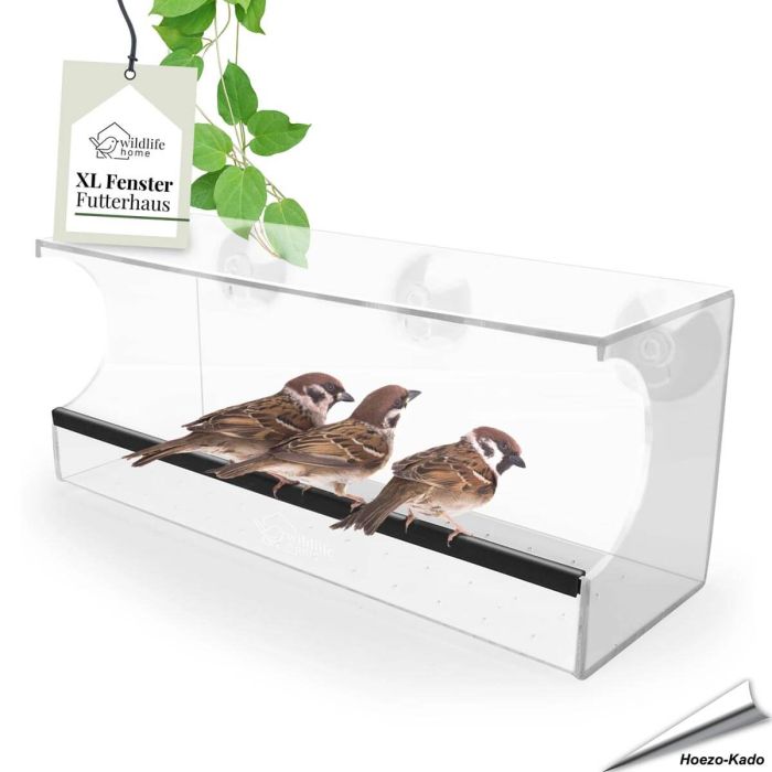 Fenster-Futterhaus Family von Wildlife Home online bestellen? www.allesfuervoegel.de