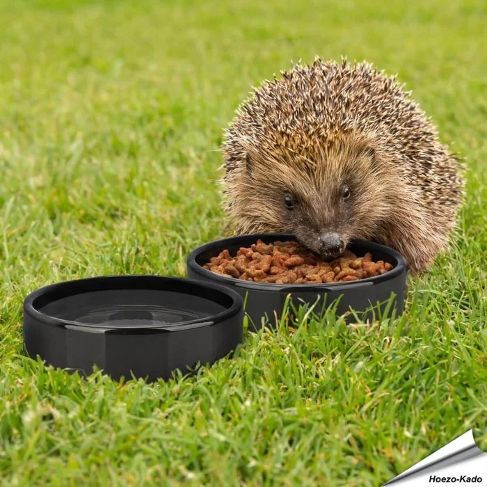 Igel Futter- und Trinkschale | Frostbeständiges Keramik | Alles für Vögel