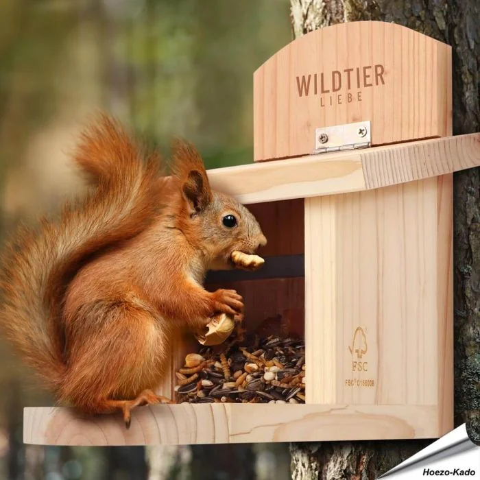 Futterhaus für Eichhörnchen | FSC-zertifiziertes Massivholz | Alles für Vögel