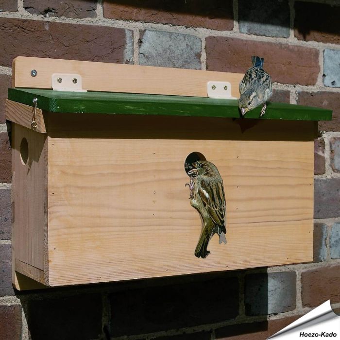 Haussperlinge brüten gerne in Kolonien ✓ Holz-Nistkasten mit 3 separaten Nistkammern / Eingängen ✓ Holz-Konstruktion - FSC 100% ✓ Kaufen bei Alles für Vögel