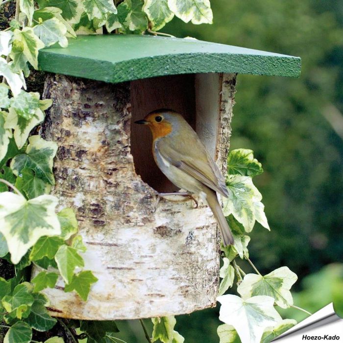 Holz-Nistkasten für Rotkehlchen online kaufen? | www.allesfuervoegel.de